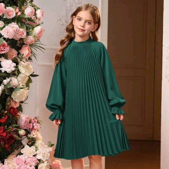 Flare Sleeve Back Tie Pleated Dress - Picture 1 of 7